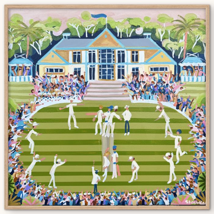 Cricket scene at Bradman Oval